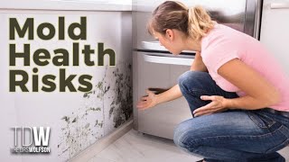 Mold Health Risks  A 21st Century Crisis [upl. by Auqinu]