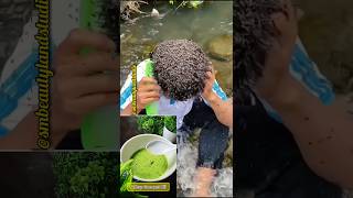 Naturally Remove Lice shorts [upl. by Dorotea]