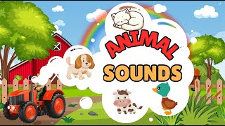 ANIMAL SOUNDS [upl. by Anirbys256]