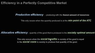 Perfect Competitive Market Efficiencies [upl. by Euseibbob]