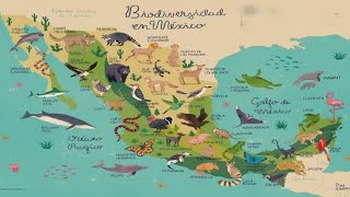 Cambios en la Biodiversidad de México en los últimos años [upl. by Cai]