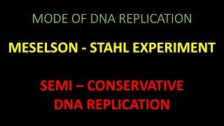 Semi Conservative DNA Replication and experimental proof given by Meselson and Stahl [upl. by Lilyan]