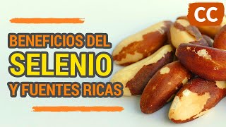 BENEFICIOS DEL SELENIO y FUENTES RICAS y SALUDABLES  Ciencia de la Comida [upl. by Aener325]