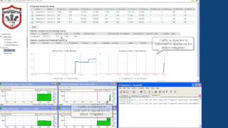 Radware Defense Flow Demonstration Programming Cisco SDN for DDoS Protection [upl. by Goer]