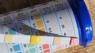 Bacterial Oxidation of Urine to Nitrates [upl. by Xuaegram]