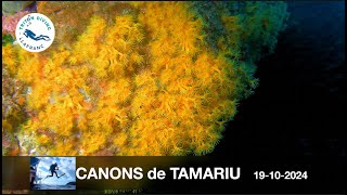 Canons de Tamariu  19octw024 [upl. by Morie836]