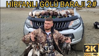 HİRFANLI GÖLÜ BARAJI2 GÜNLÜKÖRDEK AVIÇOK BEREKETLİ GEÇTİ2024 İLK AVI BOL YEŞİLİ GEÇTİ [upl. by Sadye419]