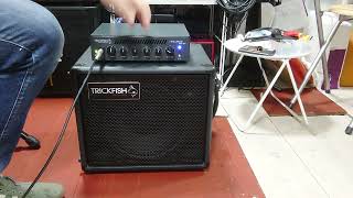 Trickfish BULLHEAD MINI 500 amp TF110 DEMO [upl. by Gamber]