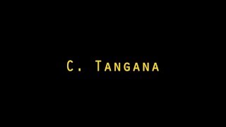 C Tangana  Bolsas letra [upl. by Dimond]