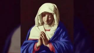 Different Titles of the Blessed Virgin Mary [upl. by Mike75]