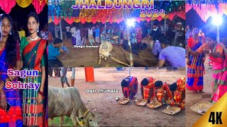 Jhaldungri sagun sohray dangri kuntaw 2024badampahardrhansdahvlogs [upl. by Materse]