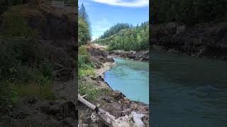 Tumwater Creek near Cowlitz Falls Washington [upl. by Aillemac]