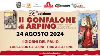 Gonfalone di Arpino 2024  Sabato 24 Agosto Corsa degli Asini e Tiro alla Fune [upl. by Hogg228]