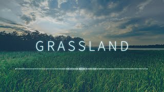 바람 풀 초원 들판 소리 Wind Grass Field Grassland Sound [upl. by Bridwell]