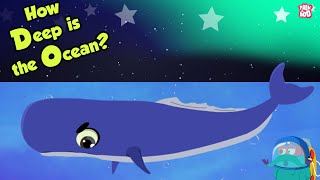 How Deep Is The Ocean  OCEAN DEPTH  Dr Binocs Show  Peekaboo Kidz [upl. by Frodine]