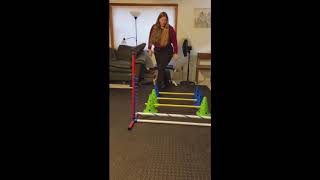 Cavalettis Dog TrickExercise  Maximum FUN NTD [upl. by Alidia]