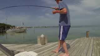 Bonefish fishing around Caye Caulker [upl. by Enigroeg]