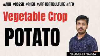 Potato  Most imp points on Potato  Potato for JRF Horticulture  Vegetable Crop [upl. by Peppy]