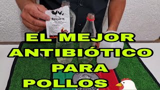 el mejor ANTIBIÓTICO para POLLOS vídeo 4 de los preventivos en el agua 💧 para los pollos [upl. by Seedman]