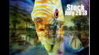 July 2019 Stock Wild Discus [upl. by Hctub]