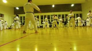 Stagiul anual de licentiere instructori FRKT  sensei Vladimir IORGA  25 ian 2018 1850  1930 [upl. by Analos]