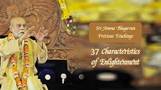 37 Characteristics of Enlightenment  Sri Amma Bhagavan  Deeksha Yajna  S03 [upl. by Eirrek864]