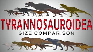 Dinosaurs Size Comparison Tyrannosaurids Trex Albertosaurus Gorgosaurus Daspletosaurus [upl. by Lyndsie]