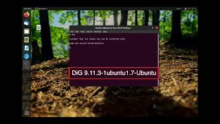 How to Install dig on Linux [upl. by Heinrike]