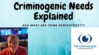 Criminogenic Needs explained [upl. by Bonnee]