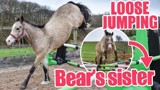 LOOSE JUMPING MY VERY SPICY PONY  Can Bears sister jump  Equestrian vlogmas [upl. by Serle861]