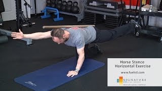 Horse Stance Horizontal Exercise [upl. by Charmine]