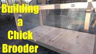 Building a Chick Brooder [upl. by Wescott370]