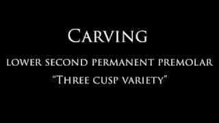 Carving lower second premolar [upl. by Sidonnie]