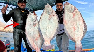 Pescamos el PEZ más Caro del MAR PERUANO  Lenguados Gigantes [upl. by Shandeigh11]