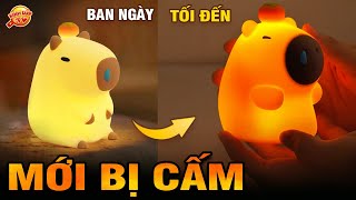 🔥 9 Món Đồ Đang Làm Mưa Làm Gió Nhưng Bị Thế Giới Đưa Vào Tầm Ngắm Vì Lý Do NàyI Kính Lúp TV [upl. by Hildie974]