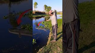 Slingshot Fishing Target Shooting Skill 🎯 slingshot fishing shortsfeed [upl. by Lah]