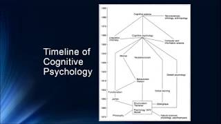 Cognition 1 2 Foundations of Cognitive Psychology [upl. by Ahsaela]