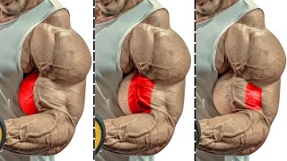 how to build bigger biceps workout [upl. by Seta191]