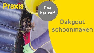 Dakgoot schoonmaken  Zo reinig je een dakgoot  Praxis [upl. by Reinald881]