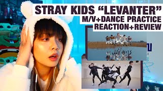 OG KPOP STANRETIRED DANCER reactsreviews Stray Kids quotLevanterquot MV  Dance Practice [upl. by Brink]