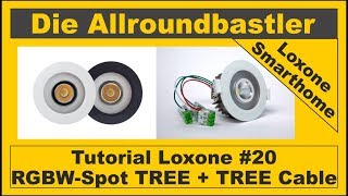 Tutorial Loxone 20  RGBW Spot TREE  TREE Cable [upl. by Fang]