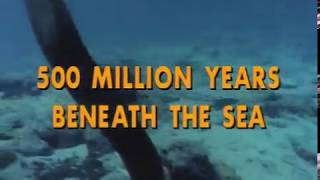 500 Million Years Beneath the Sea Episode 22 of 37 Jacques Cousteau Odyssey The real Life Aquatic [upl. by Aja]