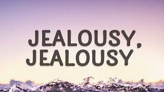 Olivia Rodrigo  jealousy jealousy Lyrics [upl. by Ailahtan249]