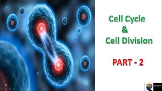 ICSE Class 10th Biology Cell Cycle amp Cell DivisionPart 2 [upl. by Tybi]