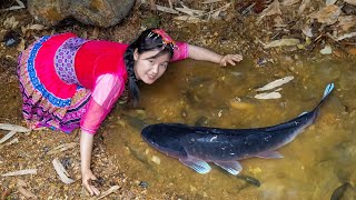 Harvesting CORPSEEATING FISH  Harvest and take care family  Ella Daily Life [upl. by Gerry]