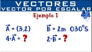 Multiplicación de un vector por un escalar  Ejemplo 1 [upl. by Ybreh2]