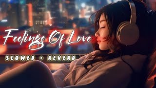 Fellings Of Love 🪷 Slowed amp Reverb ❤️ Arijit Sing Love Mashup 😍 Heart Touching Songs [upl. by Annaeirb]