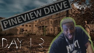 Pineview Drive Gameplay Walkthrough DAY 13 CROWS  HORROR GAME [upl. by Anertak]