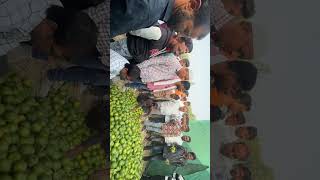 12 November 2024 26 rupee kilo 1040 rupee mann auction fruits orange santraa [upl. by Hillel]