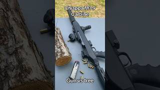 Chiappa M19 Carbine VS Small Tree gun gunasmr shooting destroy 9mm america shorts [upl. by Naujahs875]